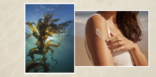 Unlocking the Secrets of Seaweed Skincare: Hydration, Nourishment, and Glow